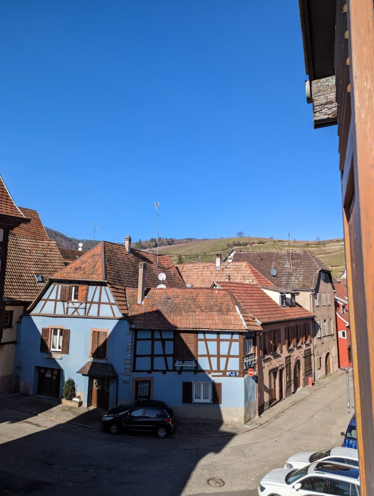 PXL_20230220_131405401.MP