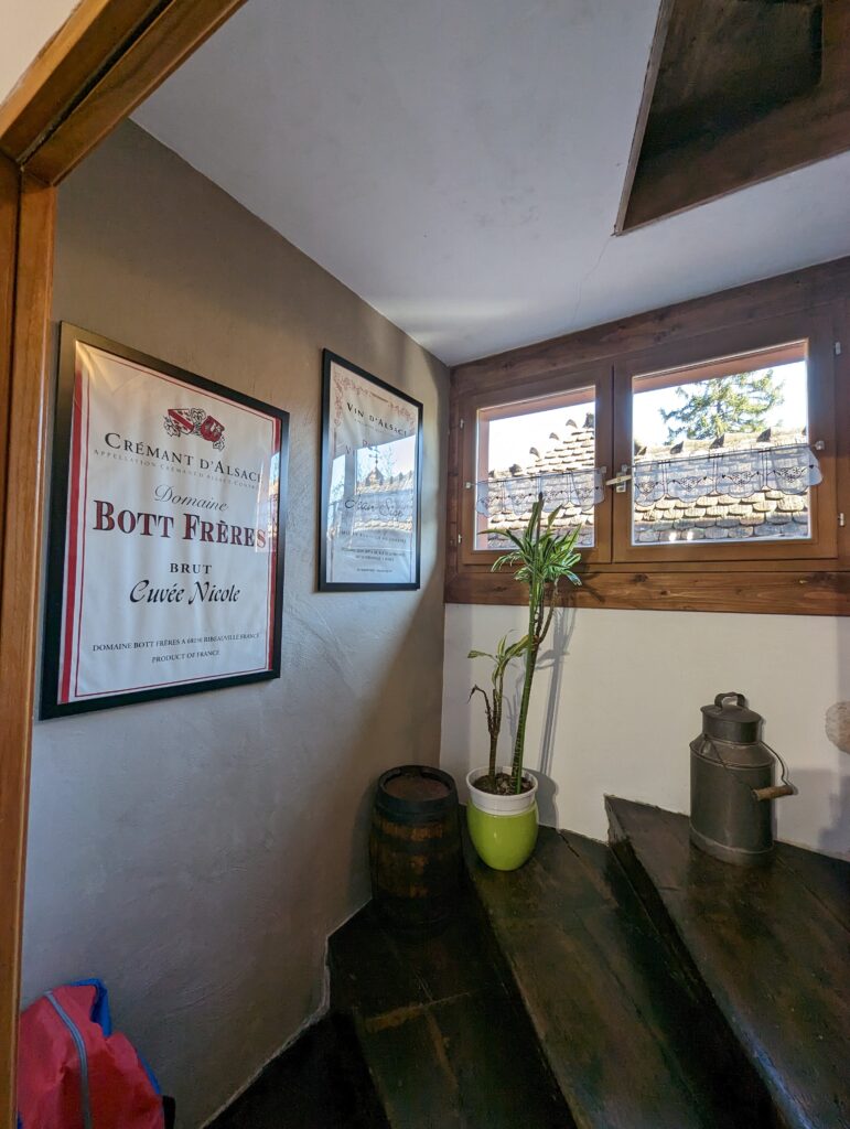 PXL_20230220_132602207.MP