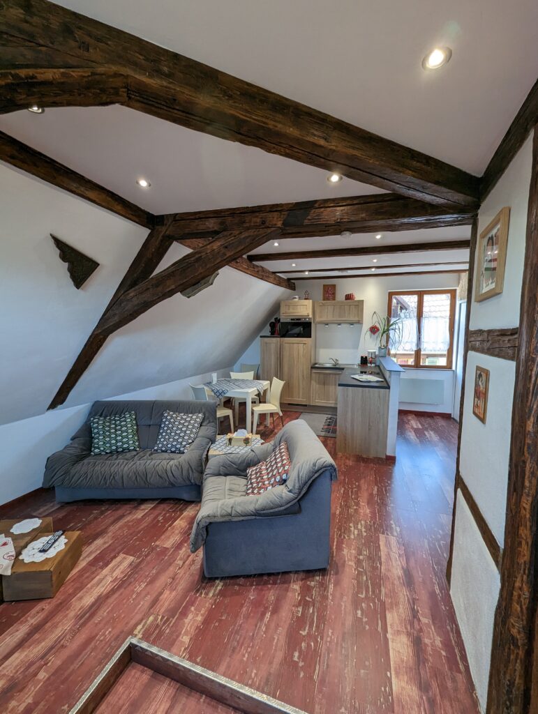 PXL_20230220_132737417.MP