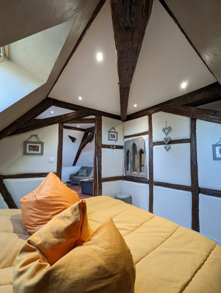 PXL_20230220_132819317.MP