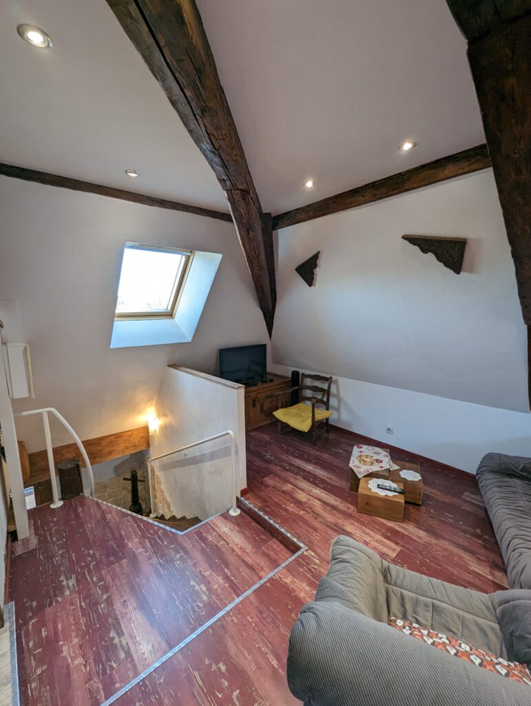 PXL_20230220_133131453.MP