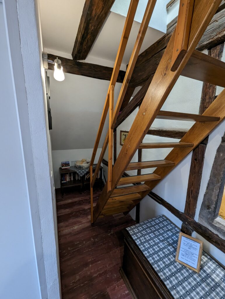 PXL_20230220_133733029.MP