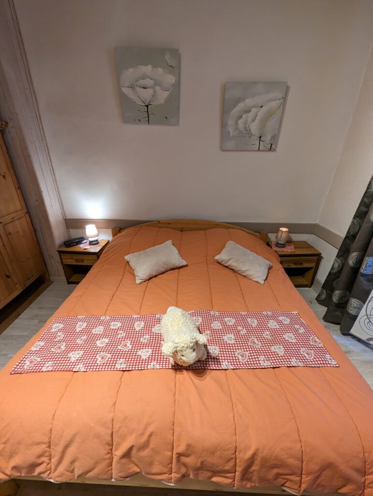 PXL_20230220_134255437.MP