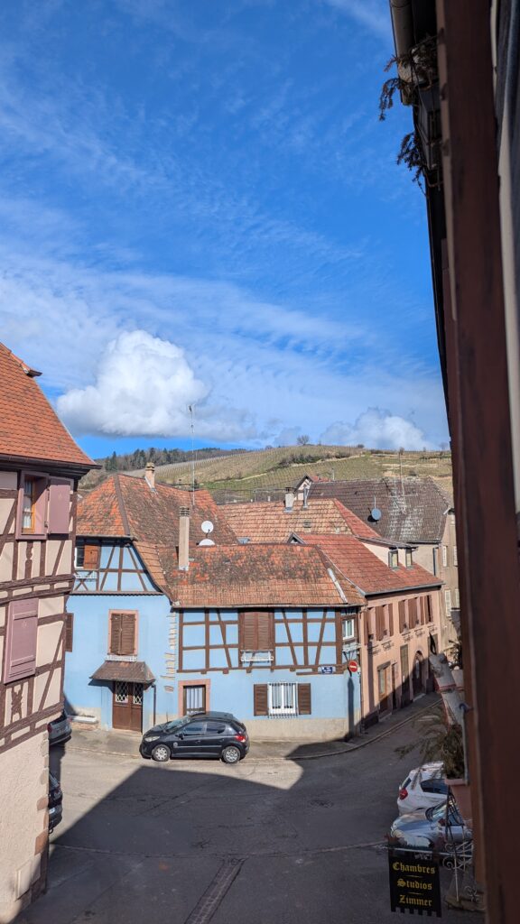 PXL_20250223_105637537